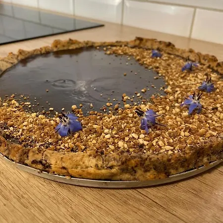 Domaine Des Jammetous - And Yoga Retreat Center 3* La Magdelaine-Sur-Tarn