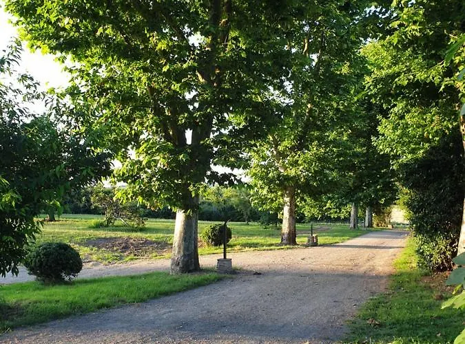 Alojamento de Acomodação e Pequeno-almoço Domaine Des Jammetous - And Yoga Retreat Center La Magdelaine-Sur-Tarn