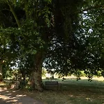 Domaine Des Jammetous - And Yoga Retreat Center Panzió