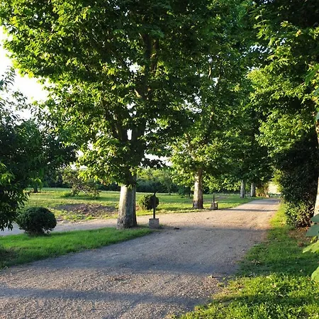 ベッド・アンド・ブレックファスト Domaine Des Jammetous - And Yoga Retreat Center La Magdelaine-Sur-Tarn