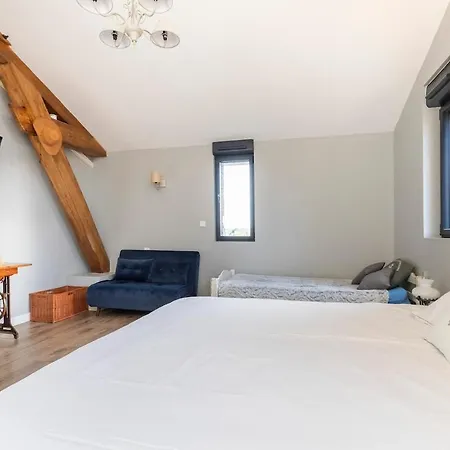 Domaine Des Jammetous - And Yoga Retreat Center La Magdelaine-Sur-Tarn