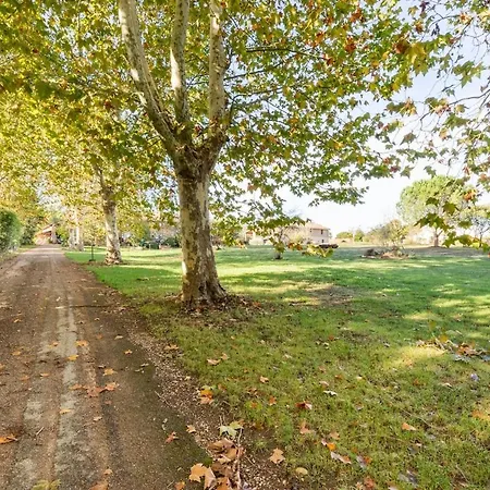 Domaine Des Jammetous - And Yoga Retreat Center 3* La Magdelaine-Sur-Tarn