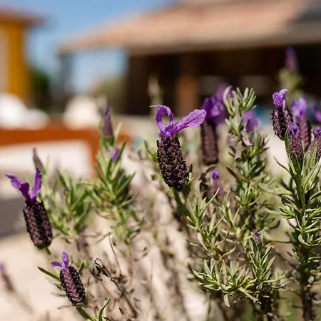 Domaine Des Jammetous - And Yoga Retreat Center 3*