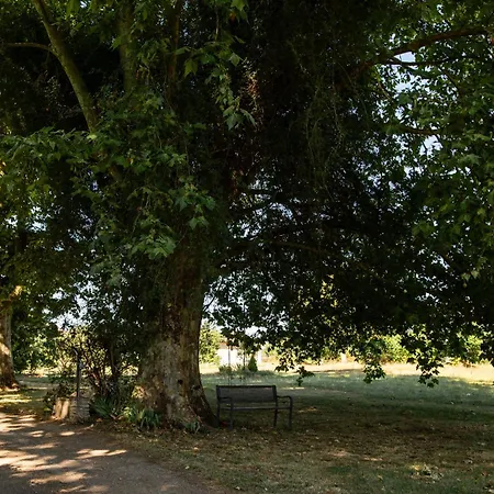 Domaine Des Jammetous - And Yoga Retreat Center 住宿加早餐酒店