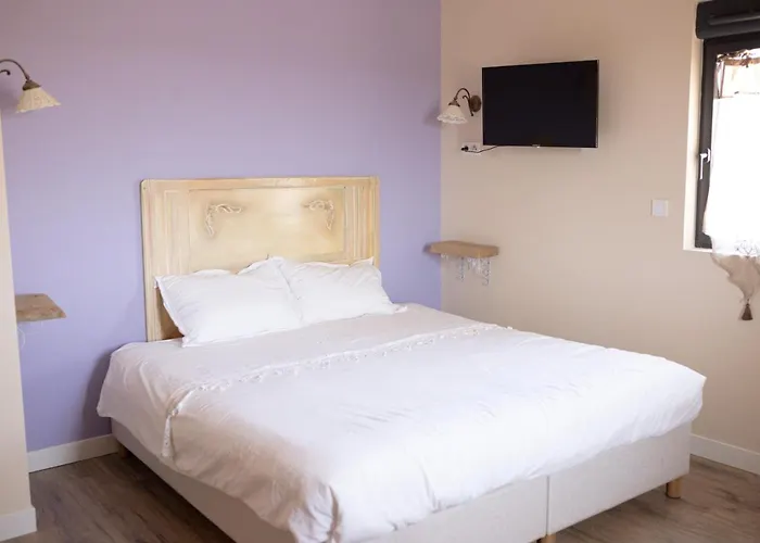 Domaine Des Jammetous - And Yoga Retreat Center La Magdelaine-Sur-Tarn