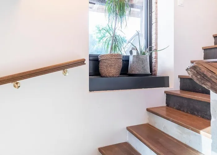 Domaine Des Jammetous - Boutique 3*