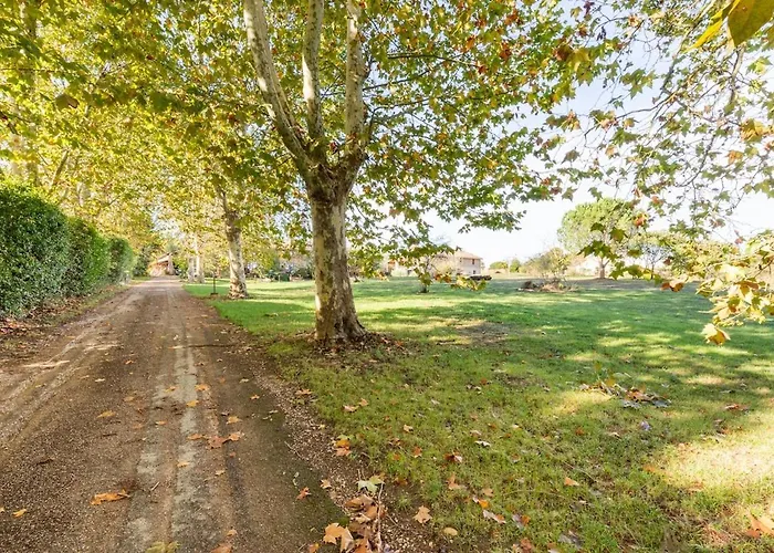 Domaine Des Jammetous - Boutique 3* La Magdelaine-Sur-Tarn