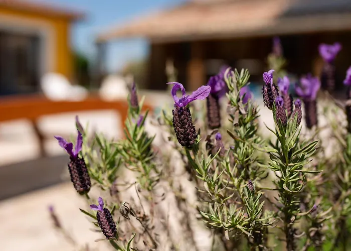 Domaine Des Jammetous - Boutique 3*