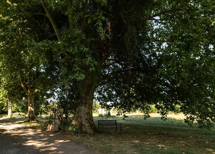 Domaine Des Jammetous - And Yoga Retreat Center Bed & Breakfast